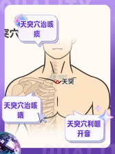 Bayt播客 v2.2.12 app下载免费 截图