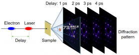好奇动物HD v5.6.4 下载免费 截图