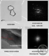 好奇动物HD v5.6.4 下载免费 截图