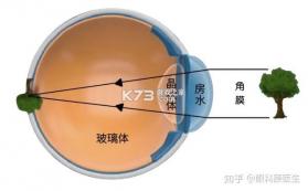 美禾 v1.0.88 下载安卓app 截图