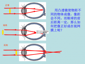 美禾 v1.0.88 下载安卓app 截图
