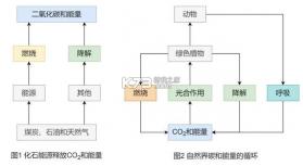 璞趣标贴打印 v1.10.13 app下载免费 截图