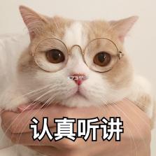 folia播放 v1.3 安卓app下载 截图