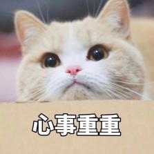 folia播放 v1.3 安卓app下载 截图