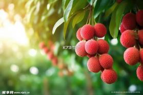 实惠猫 v9.1.0 app下载免费 截图