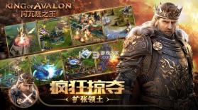 阿瓦隆之王 v24.6.37 安卓app下载 截图