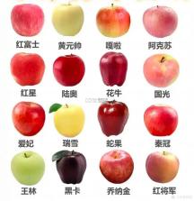 中招互连 v3.7.8 官方app下载安装 截图
