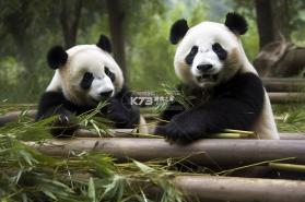 熊猫睡眠 v1.8.0 下载手机版 截图