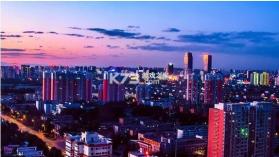 保定通 v3.8.2.261016release 安卓app下载 截图