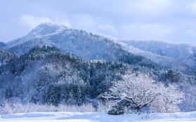 盼伊 v5.12.16 app下载免费 截图