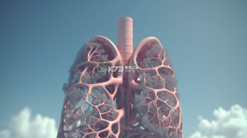 口才之翼 v2.3.600 app下载免费 截图