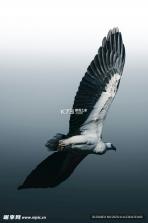 医真云 v1.04.20 官方app下载安装 截图