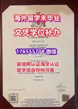 小鹿陪恋 v1.0.4 安卓app下载 截图