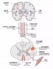 友邻生活家 v1.0.31 app下载免费 截图