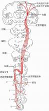 友邻生活家 v1.0.31 app下载免费 截图