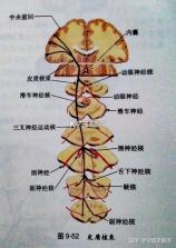 友邻生活家 v1.0.31 app下载免费 截图