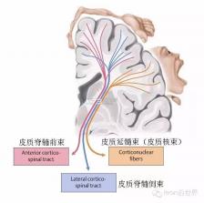 友邻生活家 v1.0.31 app下载免费 截图