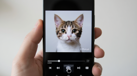 小喵Player v1.3.8 安卓app下载 截图