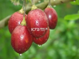 派宝管理助手 v5.3.0 app下载免费 截图