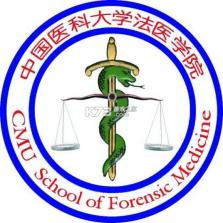 快捷指令 v3.1.60 app下载免费 截图
