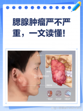 泡沫音乐 v1.0.0 下载官方版 截图