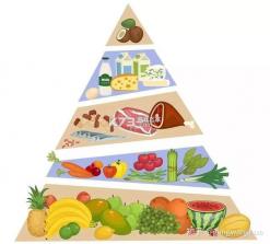 吃货干饭日常 v1.0.0 app下载免费 截图