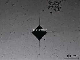 Salt About v1.1.0 安卓app下载 截图