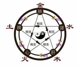 老黄历择吉日 v1.1 安卓app下载 截图