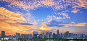 言途译站 v2.0.0 app下载免费 截图