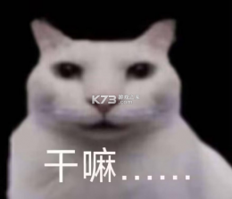 趣妞 v1.2.3 安卓app下载 截图