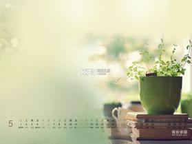 CelerTalk v1.2.7-c 下载微信安装 截图