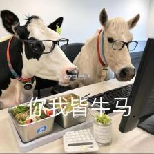 牛马去字幕神器 v1.4.6 安卓app下载 截图