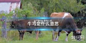 牛马去字幕神器 v1.4.6 安卓app下载 截图