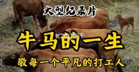 牛马去字幕神器 v1.4.6 安卓app下载 截图