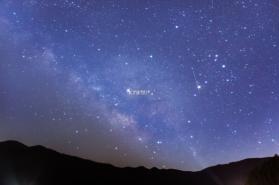 星织AI v1.1.0 安卓app下载 截图