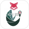 途狐管车 v6.5.1 下载安装app