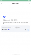 DeepSeek Agent Terminal v1.0 下载安装app迅雷 截图