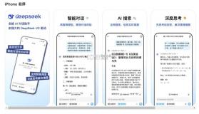 DeepSeek Agent Terminal v1.0 下载安装app迅雷 截图