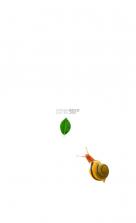 Snail聚合浏览器 v0.5.0 app下载免费 截图
