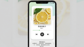 柠檬音乐 v3.7.6 app下载免费 截图