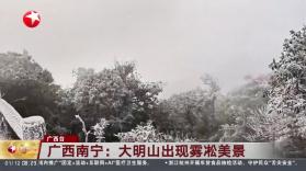大明山巡护 v1.1.73 下载安装app 截图