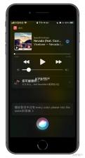 IRIS Music v4.8.2 下载安装app 截图