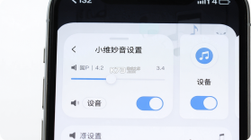 小维妙音 v2.0.0.99 下载安装app 截图