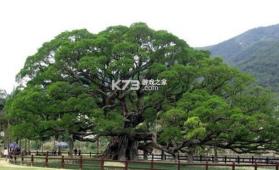 榕树家医生端 v1.5.0 app下载免费 截图