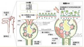 微云验方 v3.3.3 下载官方版 截图
