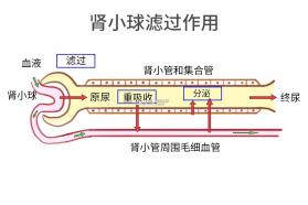 微云验方 v3.3.3 下载官方版 截图