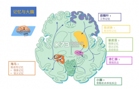 记忆仓库 v1.1.3 下载安装app 截图