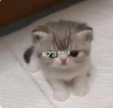 青柠趣游 v1.0.5 官方app下载安装 截图