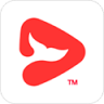 锦书在线 v2.32.67.10001 下载安装app