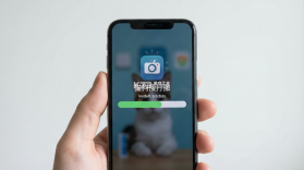 猫狗搜打撤 v1.0 下载安装app 截图
